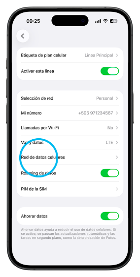 Paso 4